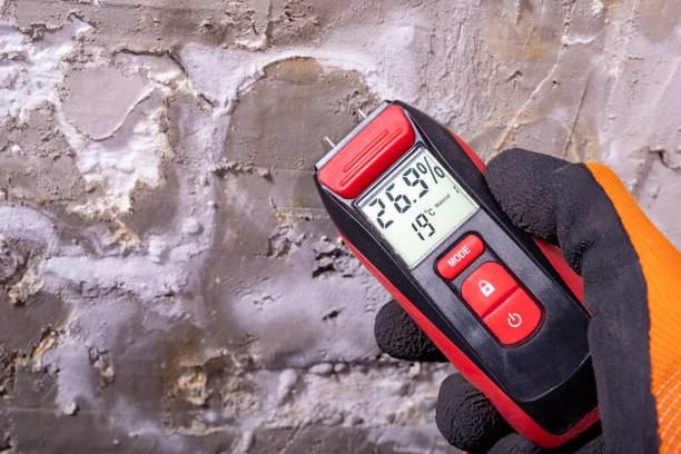 Best Health and Safety Mold Remediation in Lorton, VA