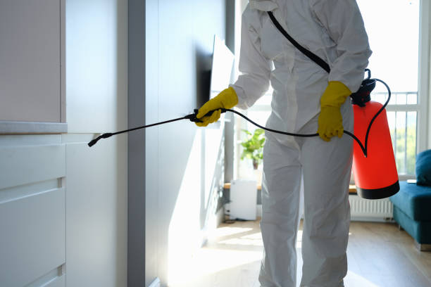 Best Post-Remediation Services in Lorton, VA